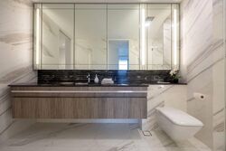 Wallich Residence  (D2), Condominium #558403481